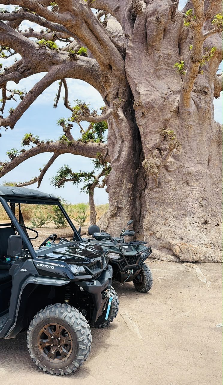 Buggy CFMOTO et quad sous un baobab