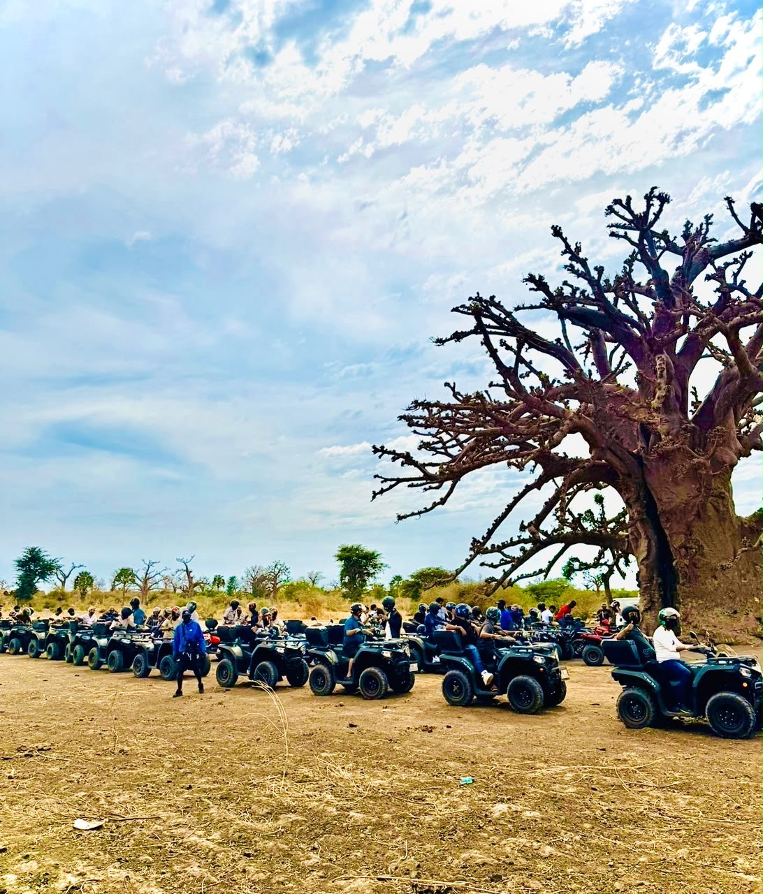 Grand groupe sous un baobab