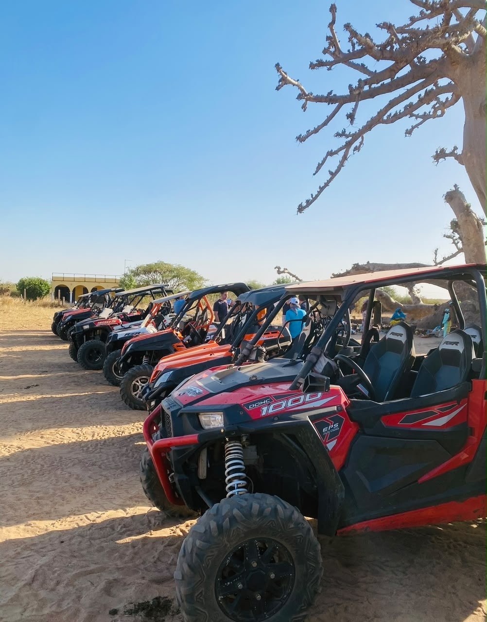Ligne de buggies CFMOTO 1000 sous un baobab