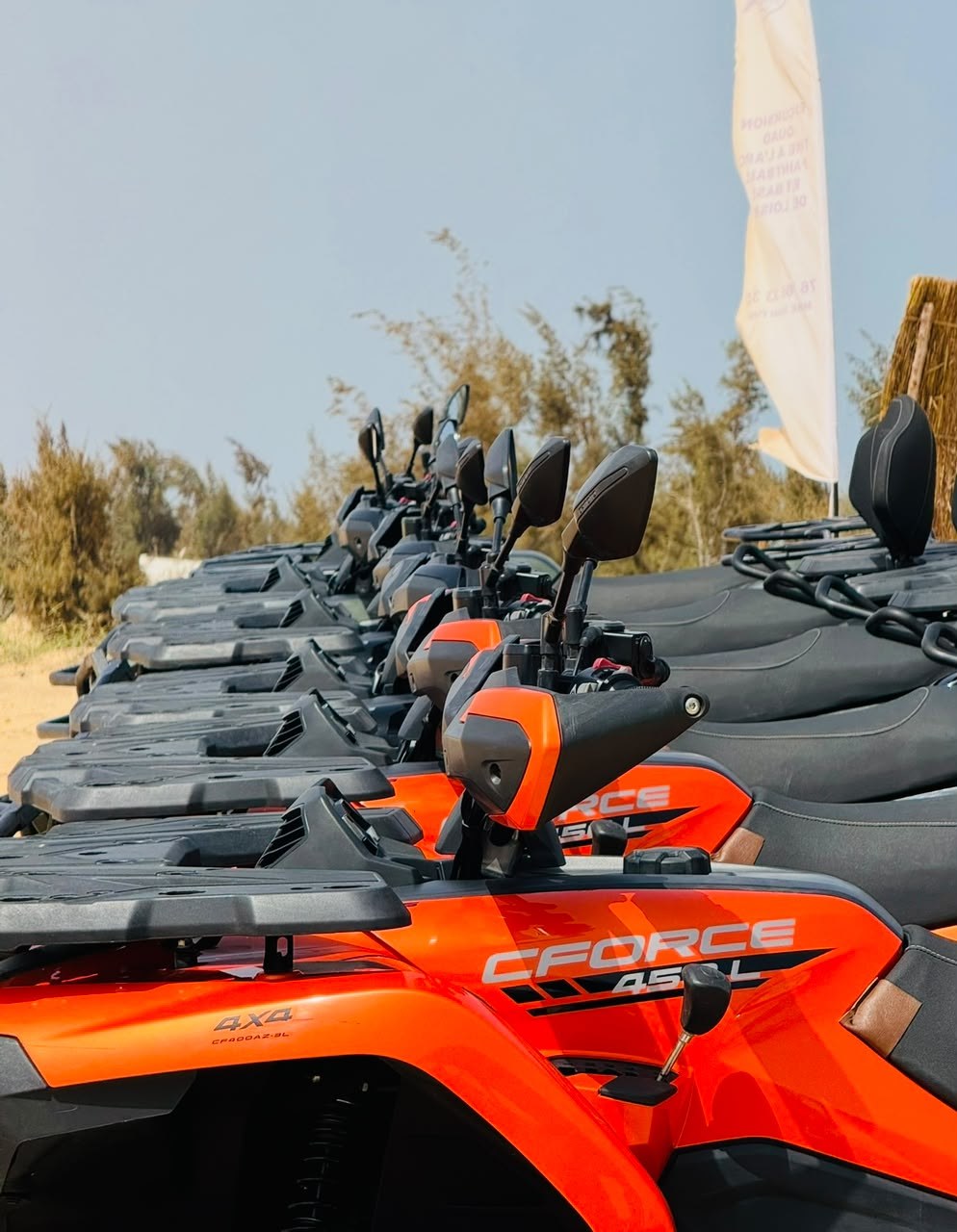 Flotte de quads CFMOTO CFORCE 450 L — Oasis Adventure