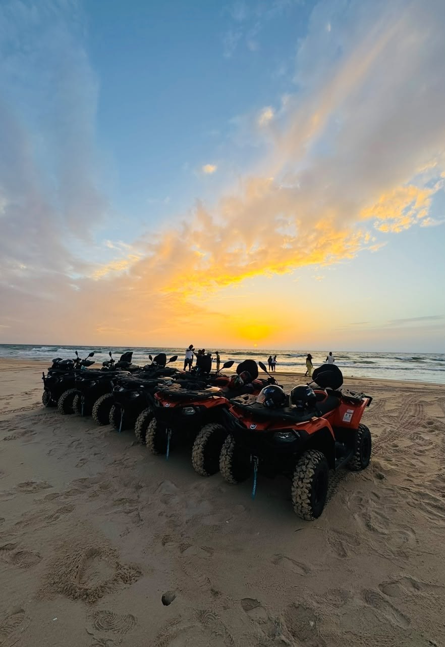 Sunset ride Oasis Adventure